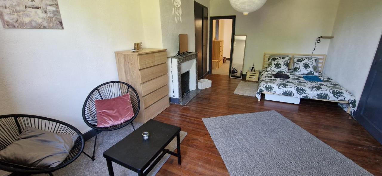 Spacieuse Suite Maison De Ville - 4 Personnes Oloron-Sainte-Marie Eksteriør billede